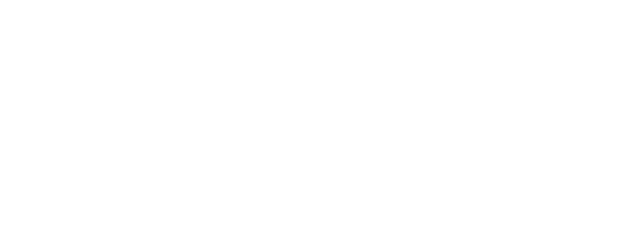 Logo Team PEY'S